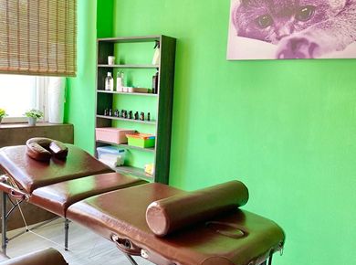 Студия массажа и коррекции фигуры ИЗУМРУД